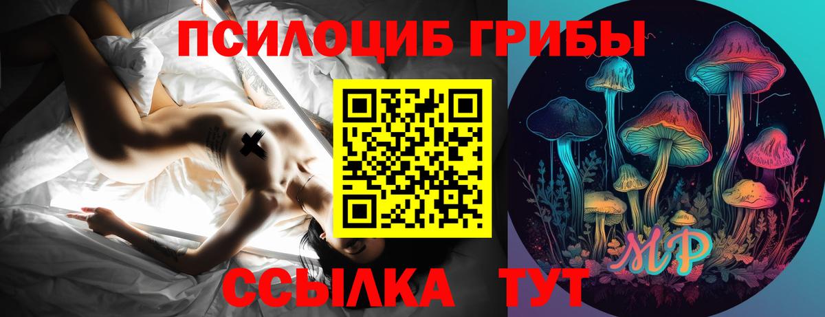 Псилоцибиновые грибы мицелий  Вход с VPN  где можно купить   Волхов 
